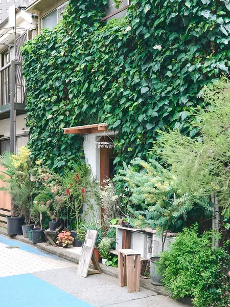 艺术与设计 总有一家花店 会带你走向春天