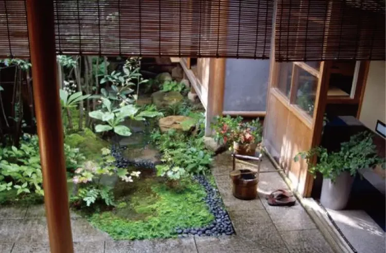 艺术与设计 世界上超小的庭院 超美超意境