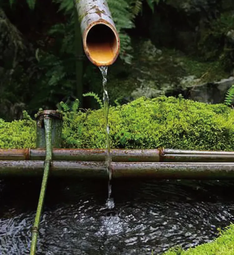 艺术与设计 世界上超小的庭院 超美超意境